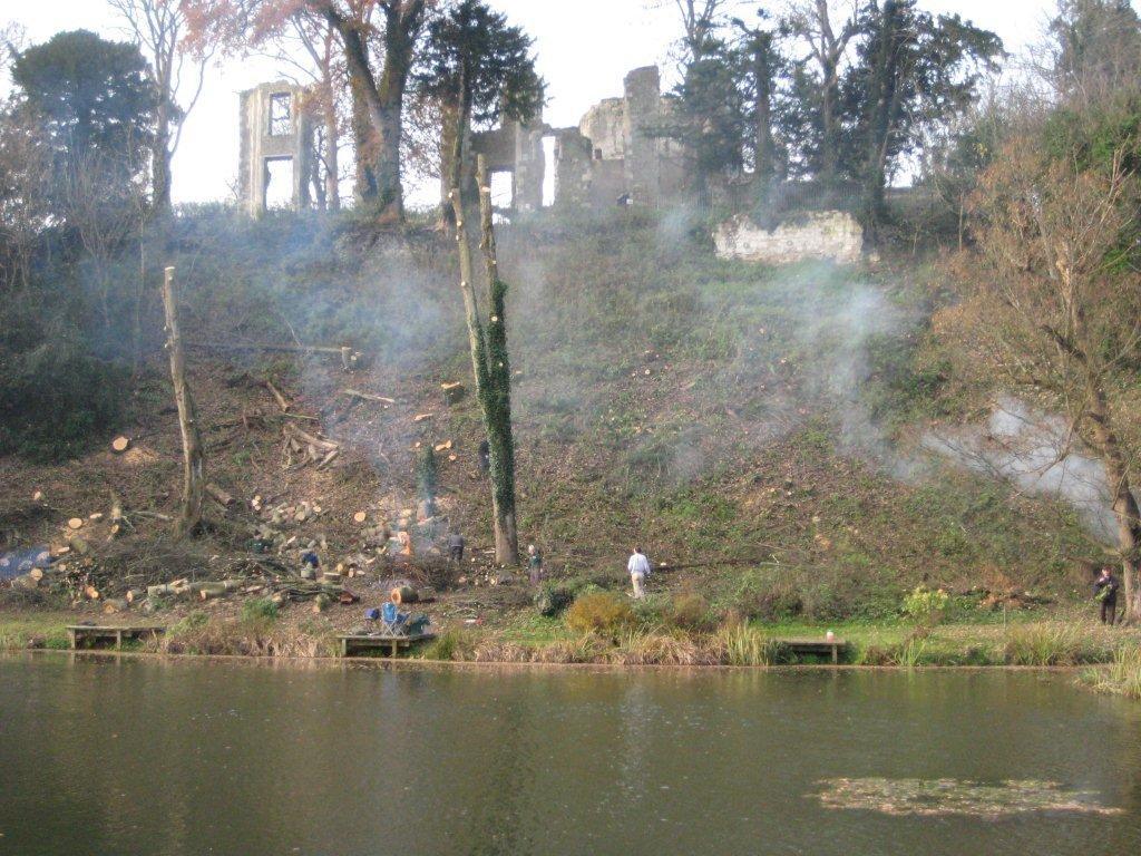 Burning brash after tree felling, 5 Dec